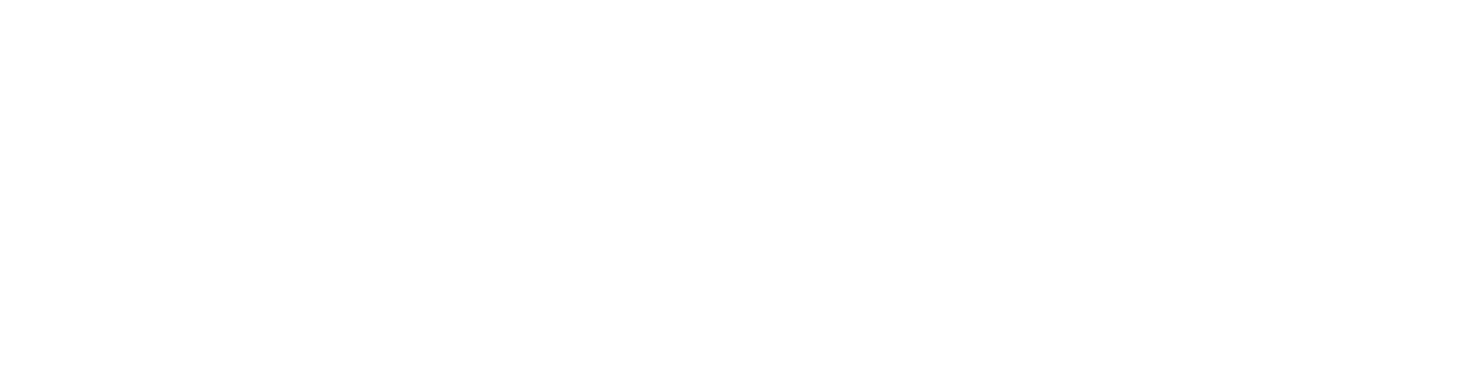 NuNet Logo